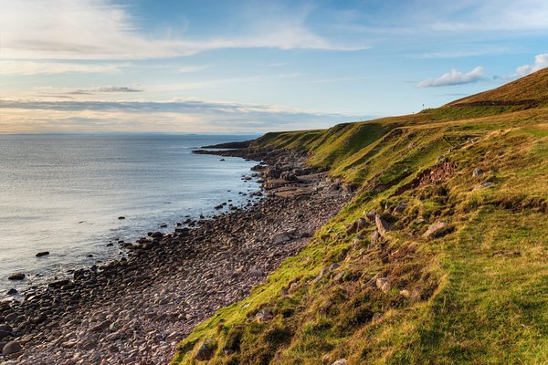L'élégance et la praticité des nappes de table