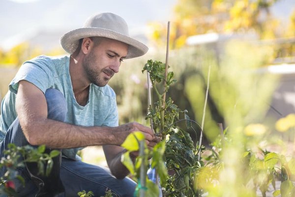 Les dernières tendances en matière de tables et de chaises de jardin